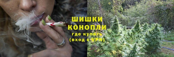 трава Алексеевка
