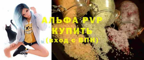 ECSTASY Ельня